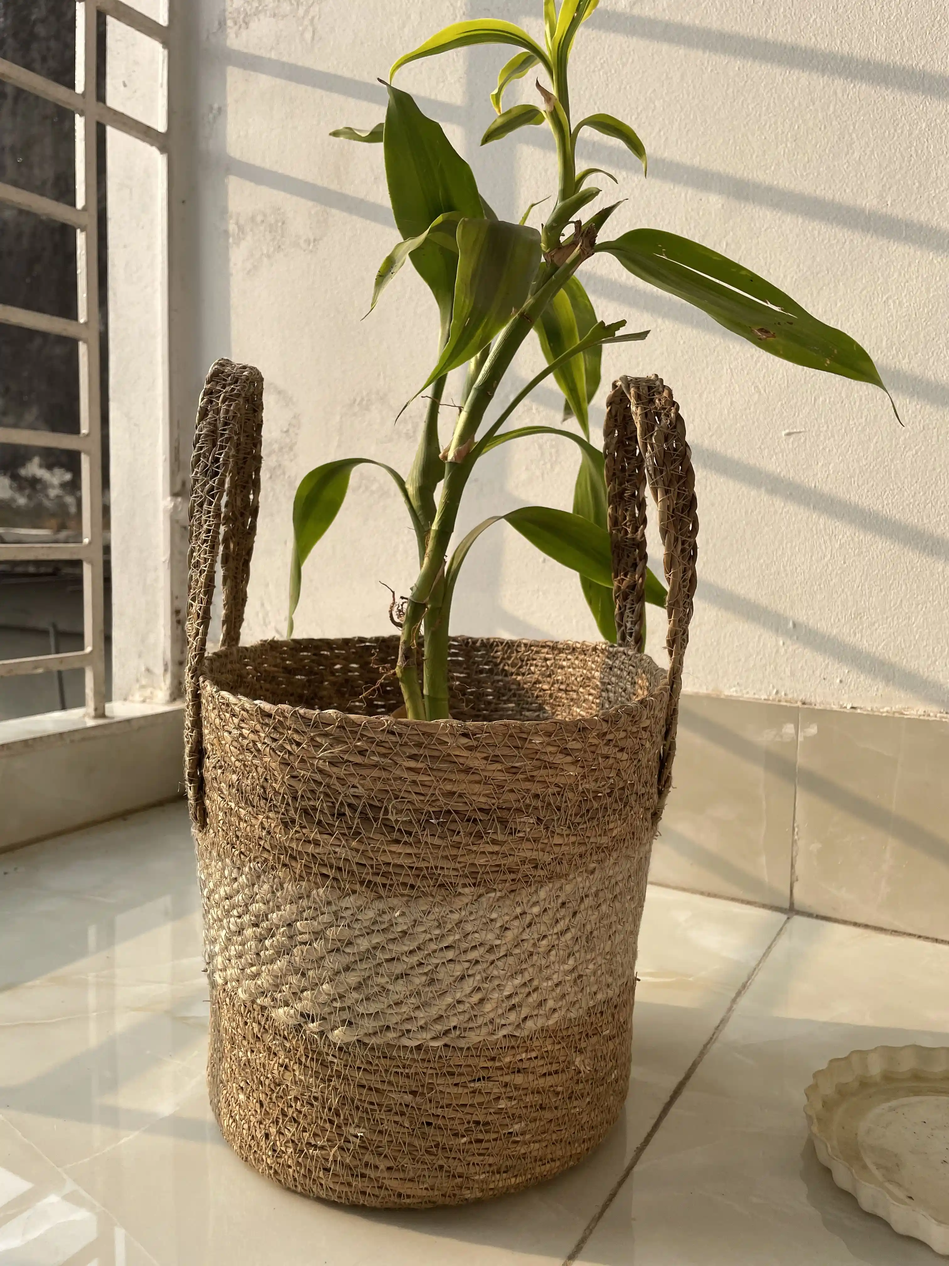 Hogla cylinder busket