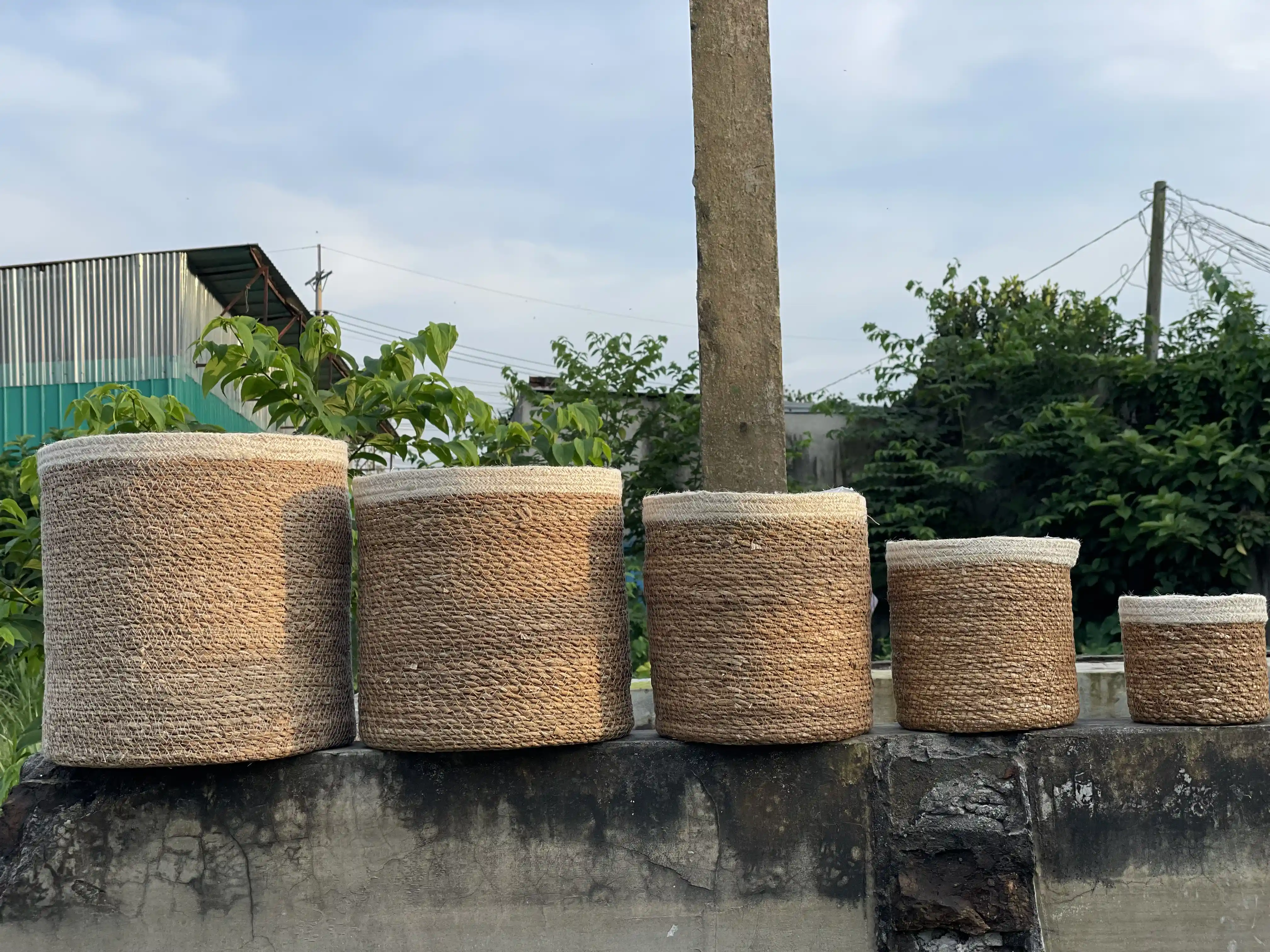 sea grass cylinder set of 5